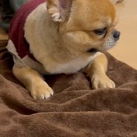 ムッとした表情がたまらない♡