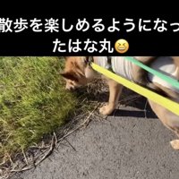 最初は怖かったけれど…