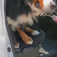 全力で踏ん張り抵抗