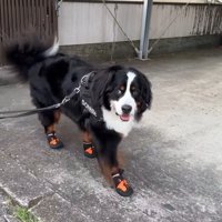 楽しそうなお顔♡