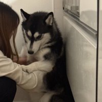 なにもしてない