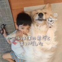 エルくんを弟だと言い出したていちゃん