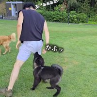 黒い犬にズボンを噛まれる男性
