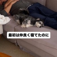 ニウちゃんとおじいちゃん