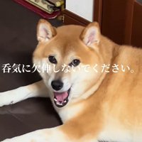 どいてくれる気ゼロ！
