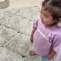 おもちゃを貸してほしい…
