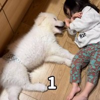 双子みたいな2人でしたが…