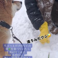 作業員さんが手伝ってくれた！