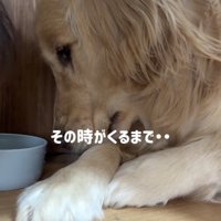 じーっ…