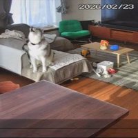 「みんな、私を置いて出ていったんだ…！」