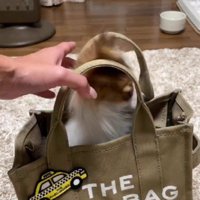 少しずつ新しい環境へ