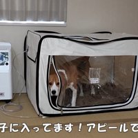ペコちゃんの賢い行動5