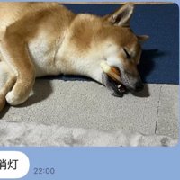 眠るふうたくん
