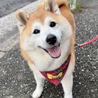 楽しいね