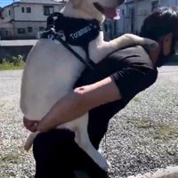 おんぶしてもらえて嬉しそう♪