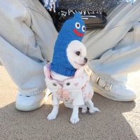 キョロキョロするルミちゃん