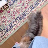 服を引っ張って抗議