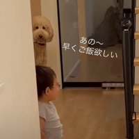 「私のごはんは…」