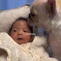 ぶうちゃんと赤ちゃん2