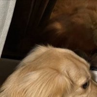 窓際