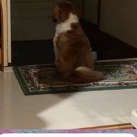 健気な姿に涙…