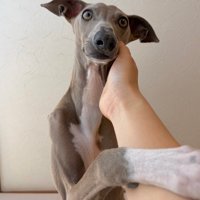 最高のパートナー♪