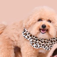 笑顔のポテチくん