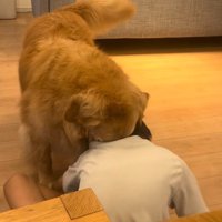「心配しているよ」