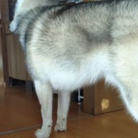 やっと満足したみたい