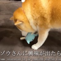 「こんなに綺麗になるなんて！」