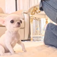 もじもじするルミちゃん