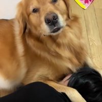 娘さんを庇うソララちゃん