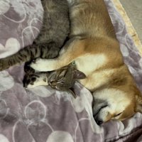 その後、一緒に夢の中へ…
