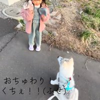 再びおすわりするブル君