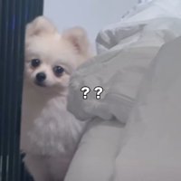 「だれ……？」