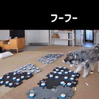 告げ口するモネちゃん7