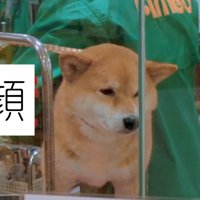 でもお顔は嫌そう（笑）