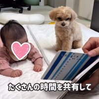 赤ちゃんと絵本を見る犬