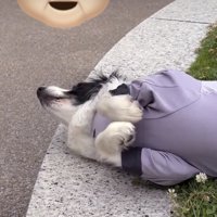 愛情たっぷりの空間です
