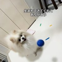 木ノ葉丸くんとの出会い⑩