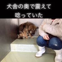 ずっと震えていたシードくん