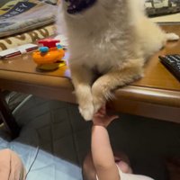 イクラちゃんと赤ちゃん5