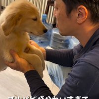 愛犬が可愛すぎる