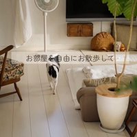 しずくちゃんの変化5