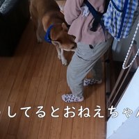お姉ちゃんが学校から帰ってきました