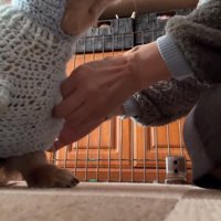ソラくんと外出する準備をしていたら…
