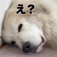 ちゃっかり反応♪