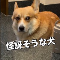納得いかない時の怪訝そうな表情