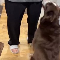 ママの前に座るテールちゃん