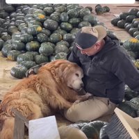 ベタベタと甘え始めた